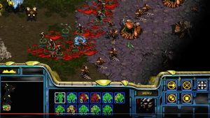 'Starcraft: Brood War'