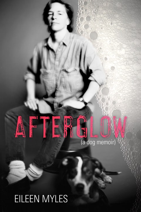 Eileen Myles profile afterglow dog memoir