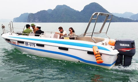 Brad Pitt and Angelina Jolie