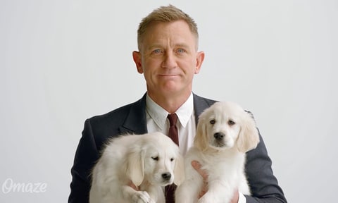 daniel craig puppies daniel craig plays with adorable puppies in new charity ad us weekly daniel craig puppies daniel craig plays with adorable puppies in new charity ad us weekly