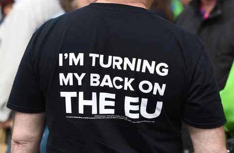 A pro-Brexit campaigner at an event hosted by the rightwing United Kingdom Independence Party in May.