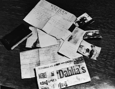 Black Dahlia