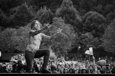Iggy Pop performs at Rock en Seine on August 28, 2016 in Paris, France.