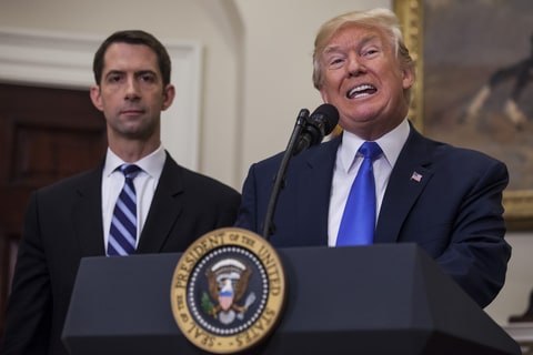 Donald Trump, Tom Cotton