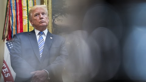 President Donald Trump