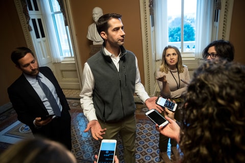 Tom Cotton