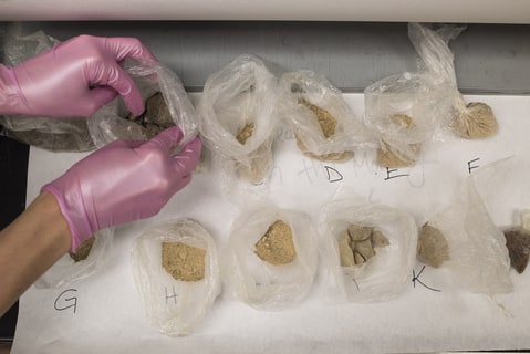 A forensic drug analyst opens baggies contains various types of heroin which are being examined at the Hamilton County Coroners Crime Lab, in Cincinnati, Ohio, Sept. 1, 2016. More than 200 people have overdosed on opiates in the Cincinnati area in the past two weeks, leaving three people dead in what the officials here called an unprecedented spike. Carfentanil, an animal tranquilizer, was believed responsible for many of the overdoses.