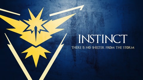 Team logo instinct