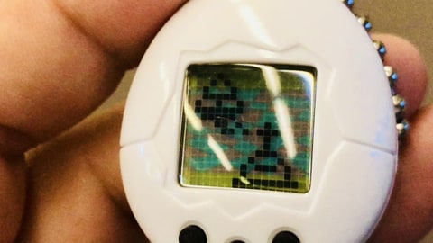 RIP Tamagotchi