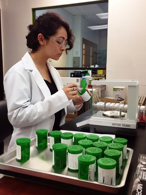 A lab assistant tests cannabis at Pure Analytics.