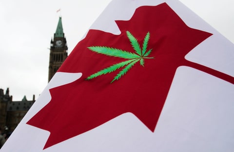 canada marijuana