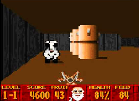 Super Nintendo Super 3D Noah's Ark