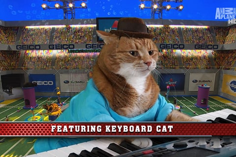 Keyboard Cat Puppy Bowl X Kitty Half Time SHow