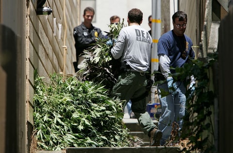 california pot, legalized pot, pot raid, Med-West Distributors, santa rosa raid, cannacraft, san diego pot,