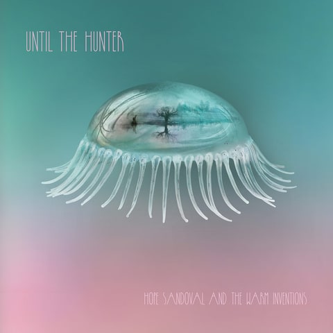 hope sandoval, hope sandoval mazzy star, hope sandoval warm inventions, hope sandoval kurt vile, colm o'siosoig, my bloody valentine, hope sandoval rolling stone, my bloody valentine rolling stone