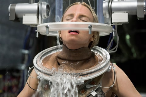 The OA