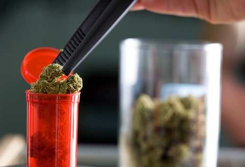 medical marijuana