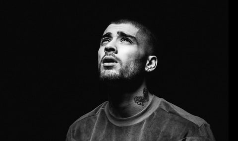 zayn, zayn malik, zayn book, zayn autobiography, zayn memoir, zayn malik boy band, one direction, zayn malik one direction, zayn urdu, zayn flower