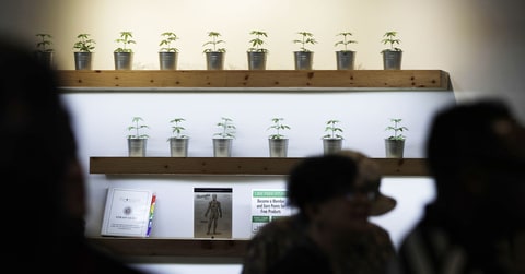 Las Vegas, Marijuana