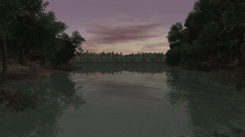 Walden, A Game