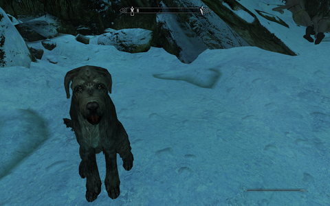 Skyrim: Special Edition - Barbas the dog triggers the quest, A Daedra's Best Friend