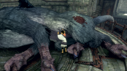 Though it has no effect on the game, it feels good to sooth poor Trico's wounds.
