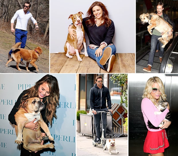 Celebs and Their Pets Celebrities With Their Pets Us Weekly
