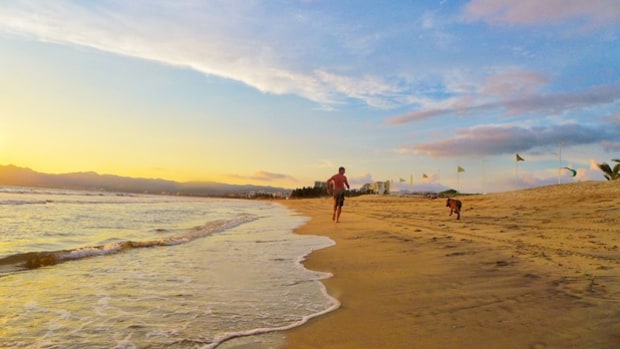 Best Places To Hike With Your Dog In California Best Places To Hike With Your Dog In California