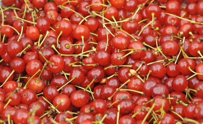 Tart Cherry Wine