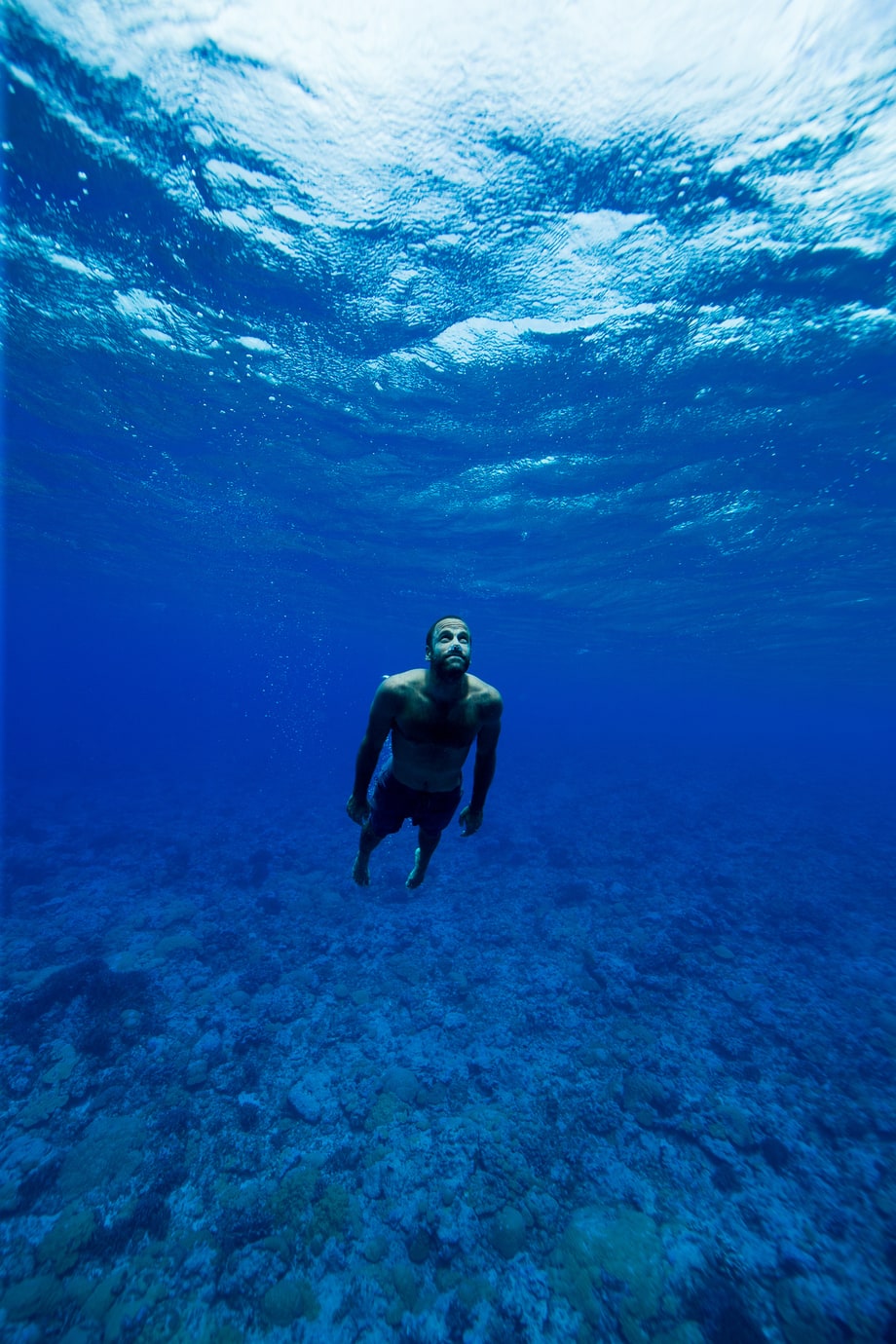 Just Keep Swimming