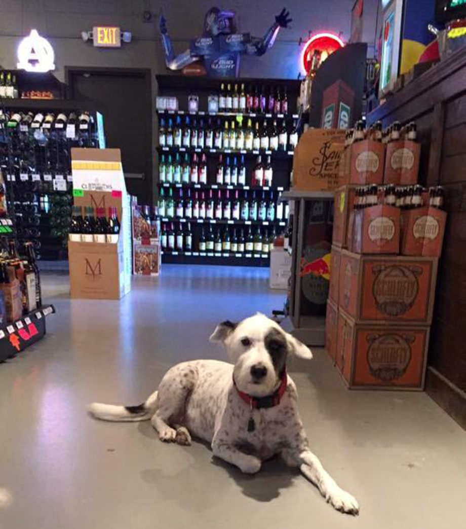 Arkansas: Walton Blvd Wine and Spirits (Bentonville)