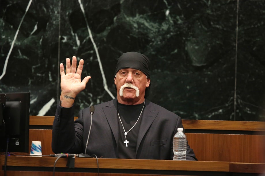 'Nobody Speak: Hulk Hogan, Gawker and Trials of a Free Press'