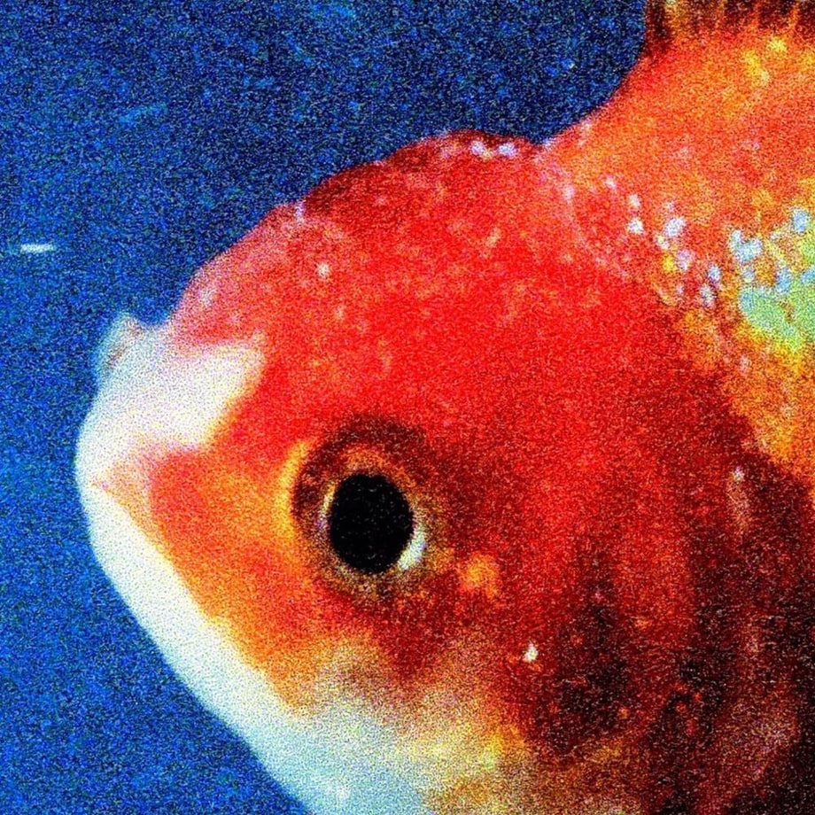 Vince Staples, 'Big Fish Theory'