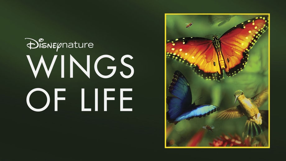 Wings of Life