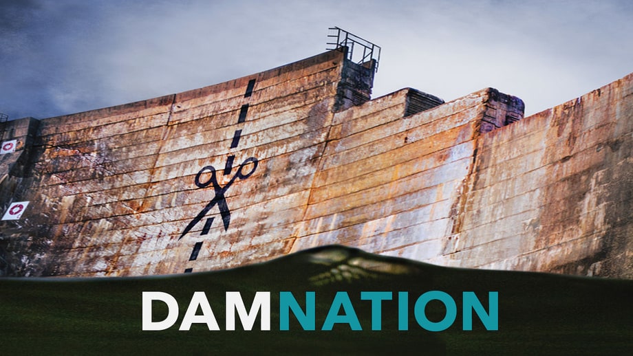 DamNation