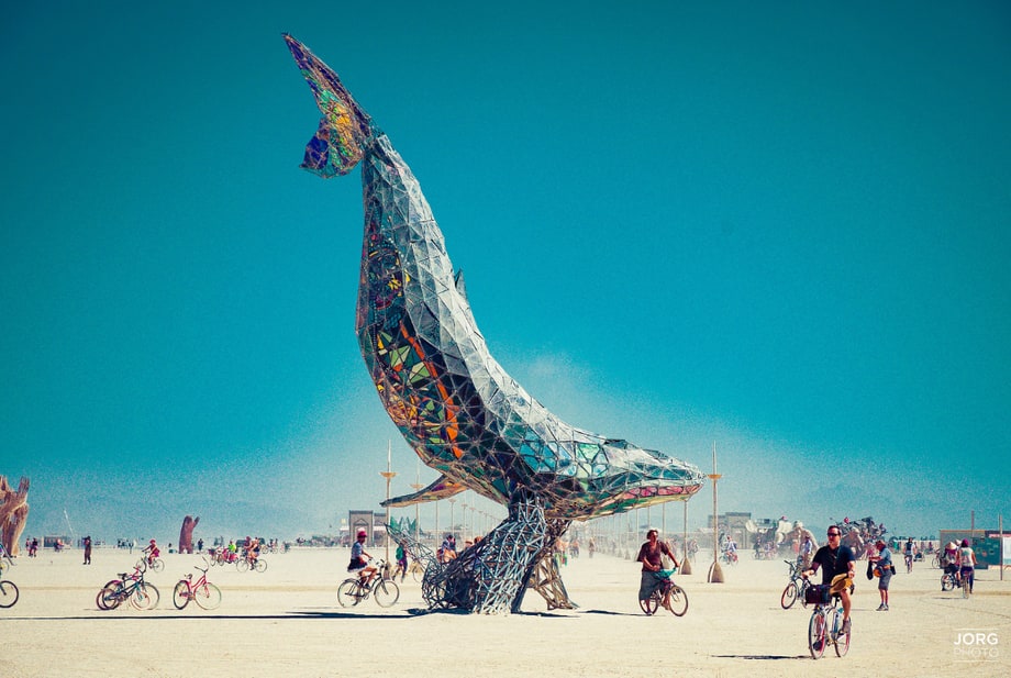 The Space Whale