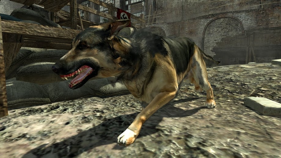 Activision is Legally Battling a Dog Poop Removal Company