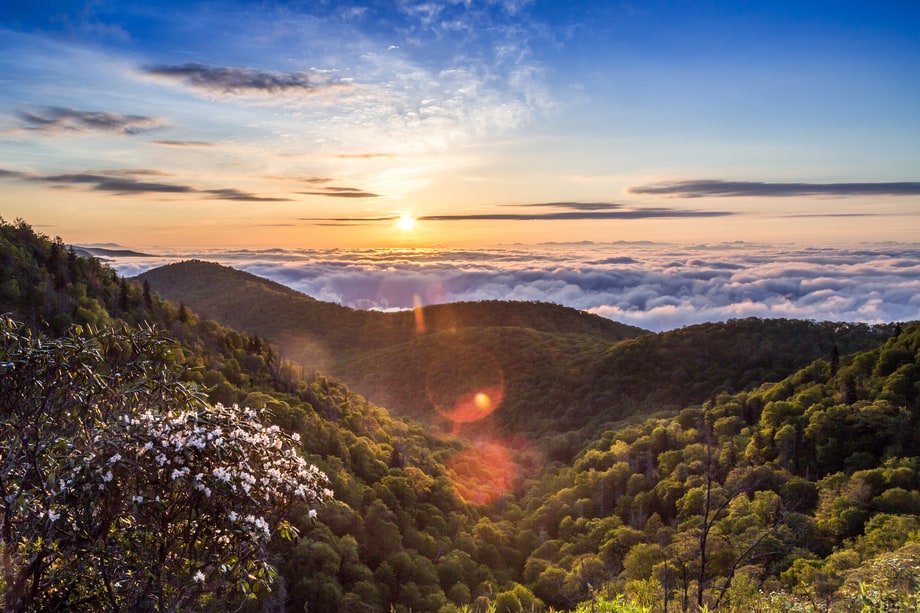 Nantahala National Forest, North Carolina The 19 Best Places to Catch
