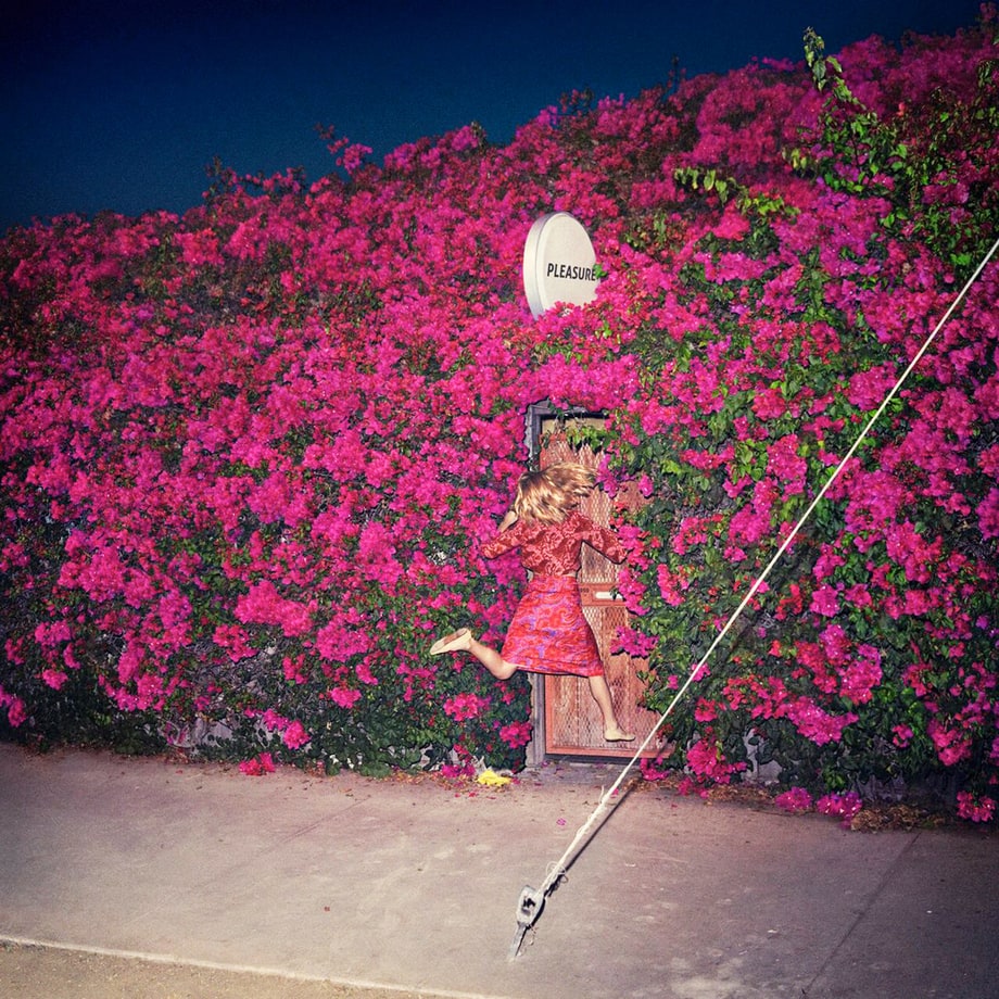 Feist, 'Pleasure'