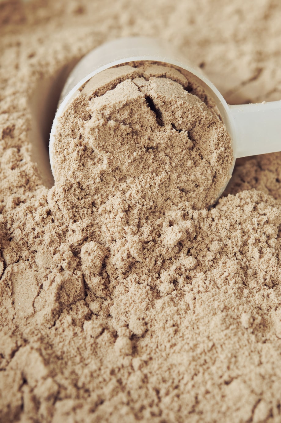 Vegan Protein Powders That Have It All