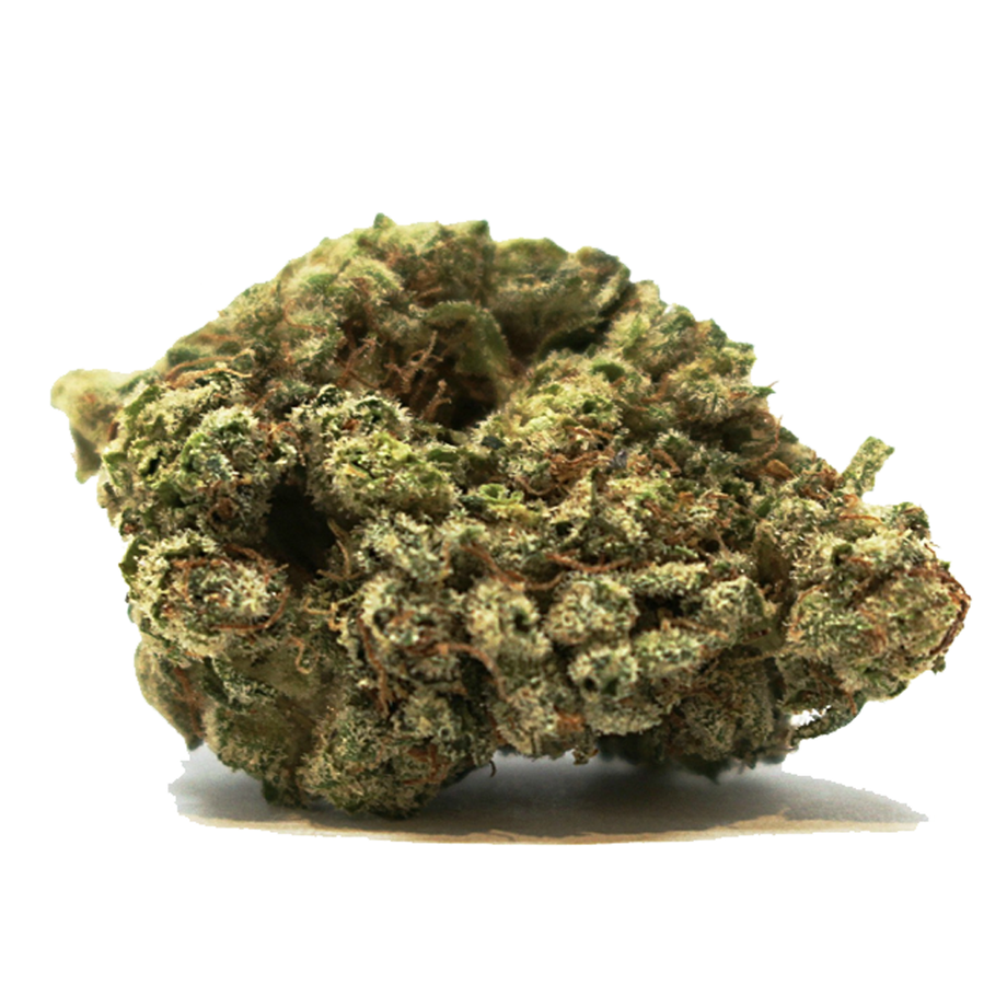 GG4 f.k.a. Gorilla Glue No. 4
