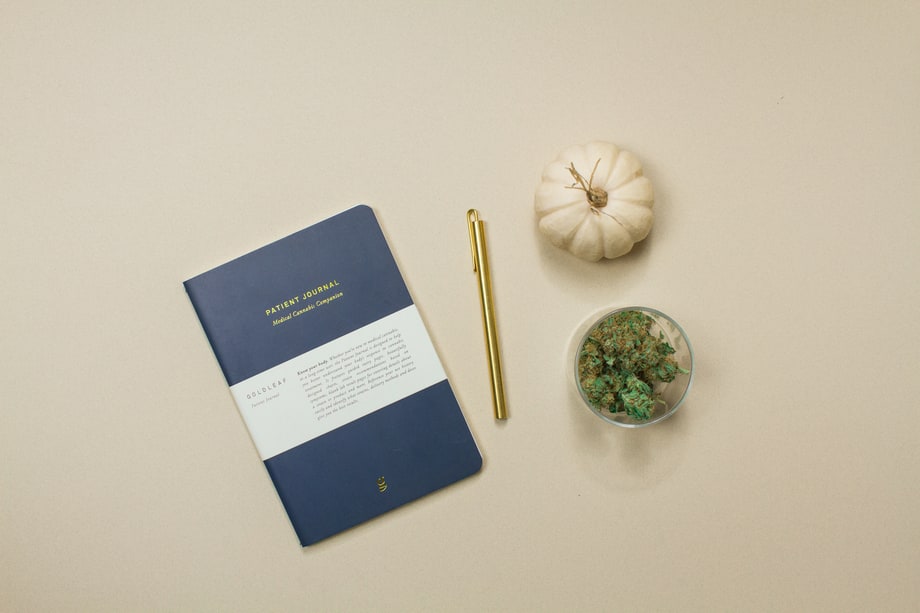 Patient Journal by Goldleaf