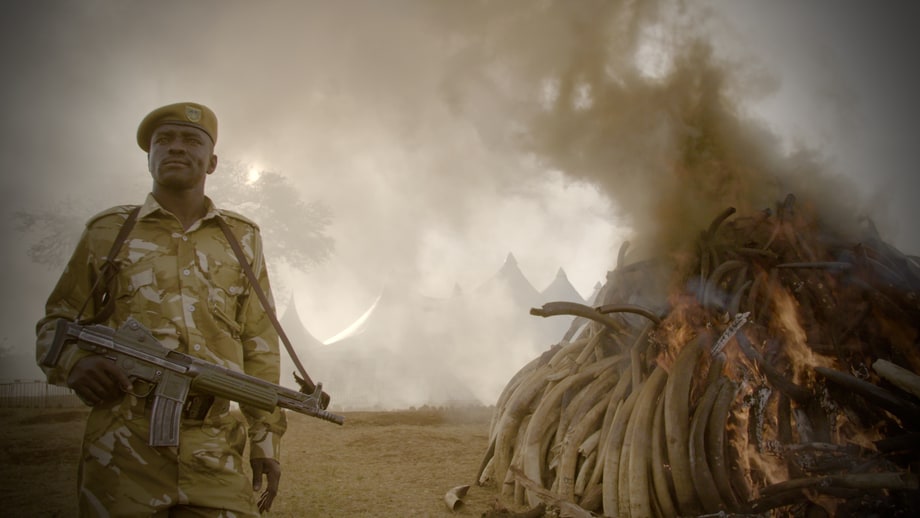 Fri 11/4: 'The Ivory Game' (Netflix)