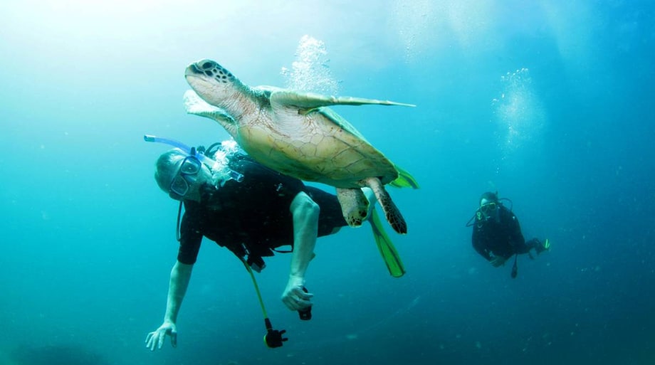 Mon 3/13: Martin Clunes' Islands of Australia (Acorn TV)