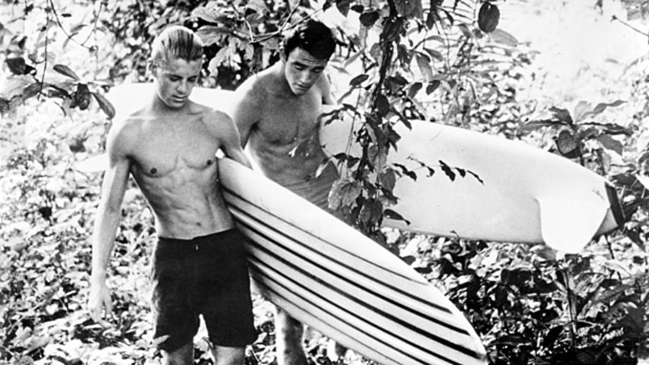 'The Endless Summer' (Bruce Brown, 1966)