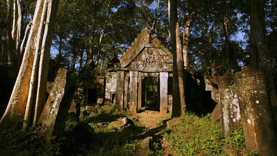 Discover a jungle temple.