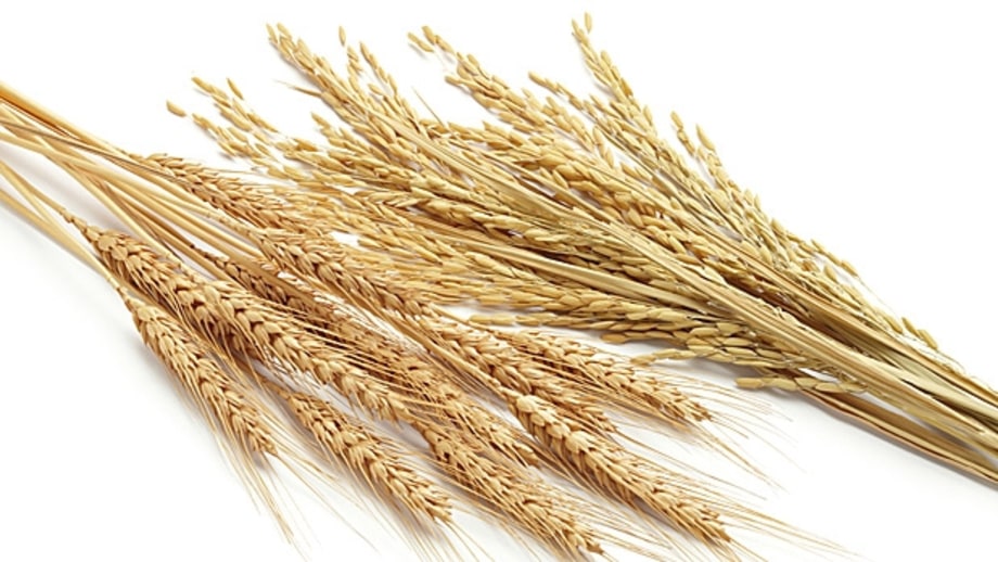 3. Be Ready to Ditch Gluten, Dairy, Soy, and Nightshades