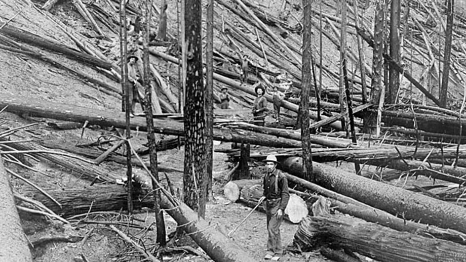 Great Idaho, 1910