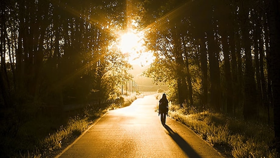 Get More Sunshine