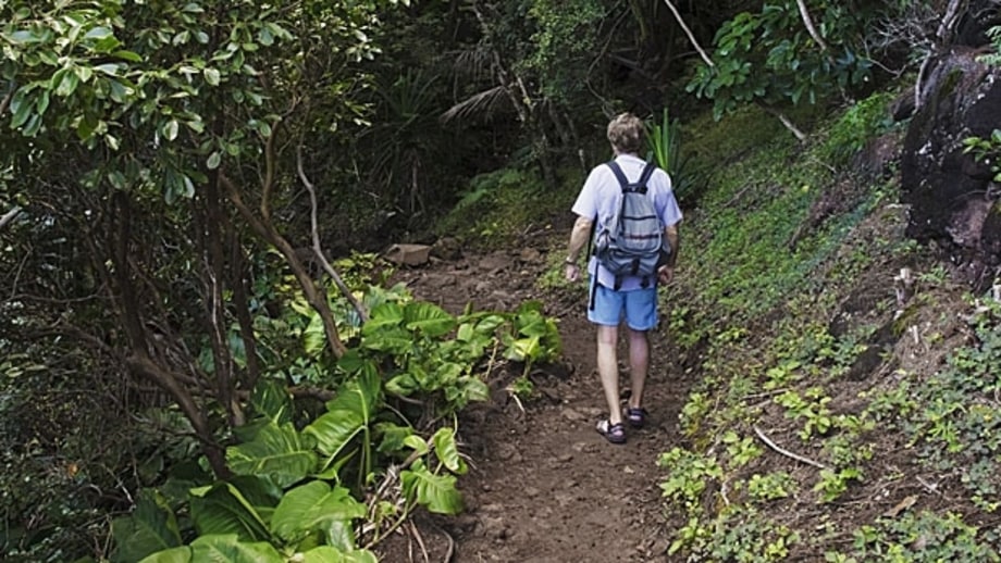 Kalalau Trail, Na Pali Coast Wilderness Park, HI